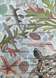 Poster Eco-Código.jpg